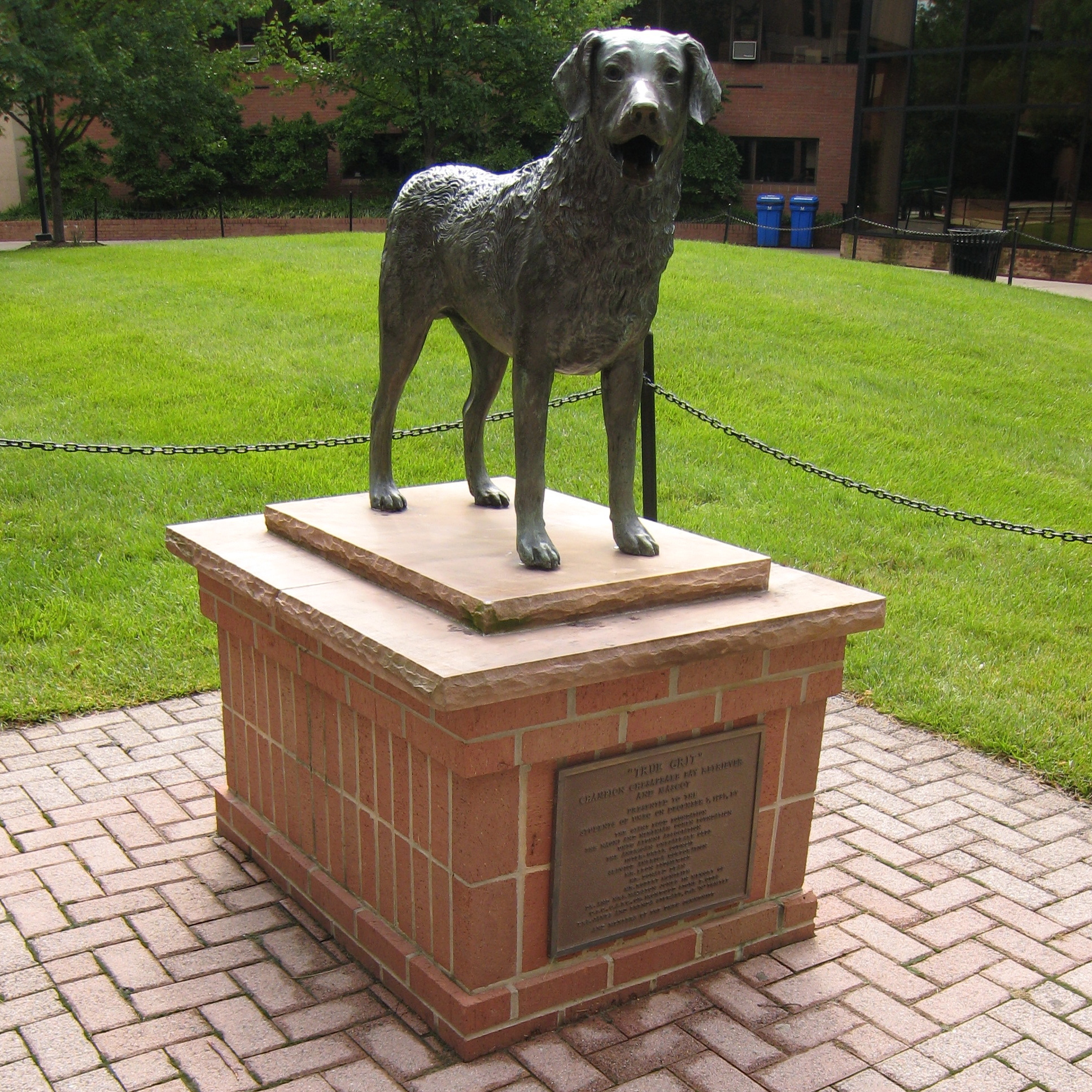 Statue of True Grit, UMBC's mascot. True Grit is a Chesapeake Bay Retriever. Source: https://en.m.wikipedia.org/wiki/File:UMBC_Mascot.jpg